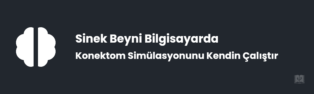 Sinek Beyni Bilgisayara Nasıl Yüklendi? Kendin Çalıştır