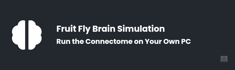 How to Run the Fruit Fly Brain Simulation Yourself